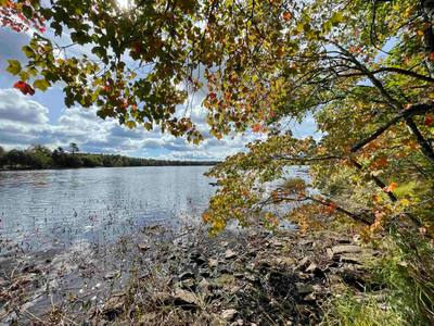 Lapland Road #Lot 3 — photo 2