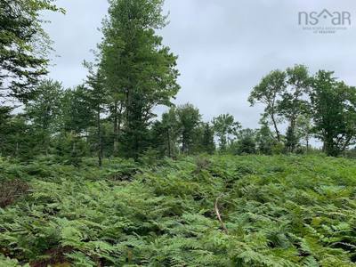 Pleasant River Preserve #Lot 4 — photo 2