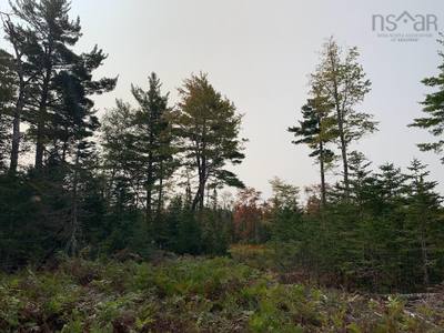 Pleasant River Preserve #Lot 4 — photo 5