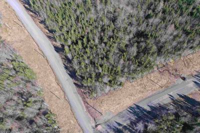 Lot 16 - Lower River Road — photo 3