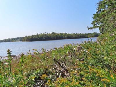 Basin Road #Lot 5 — photo 3