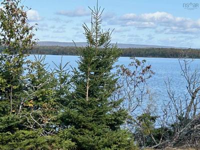 8080 Marble Mountain Road — photo 2