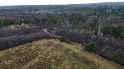 Onslow Mountain Road — photo 2