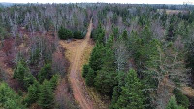 Onslow Mountain Road — photo 5