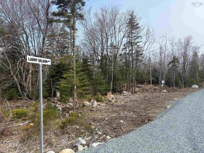Larry Seldon Lane #Lot 7 — photo 3