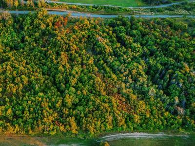 Marble Hill Road #Lot 4 — photo 6