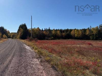 Spencers Beach (Hwy 209) Road — photo 2