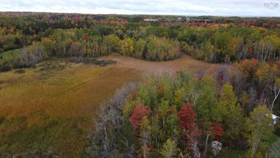 Malagash South Shore Road Lot 2 — photo 5