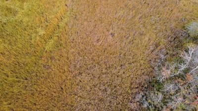 Malagash South Shore Road Lot 2 — photo 6