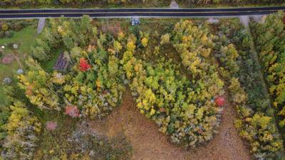 Malagash South Shore Road Lot 2 — photo 7