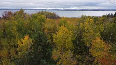 Malagash South Shore Road Lot 2 — photo 8