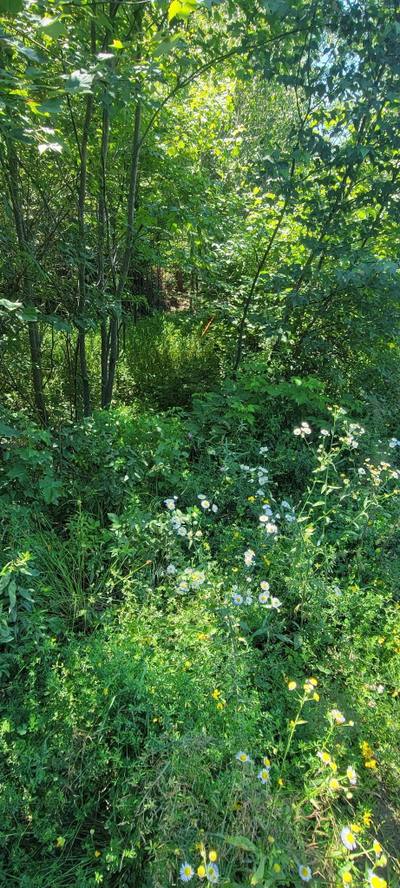 47 Bolivar Road #Lot — photo 2