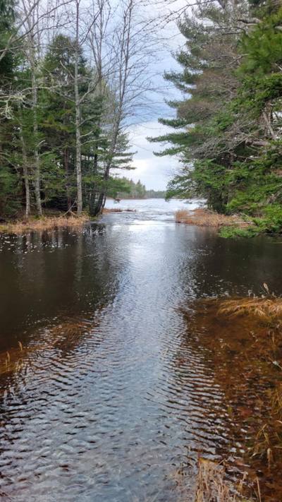 47 Bolivar Road #Lot — photo 3