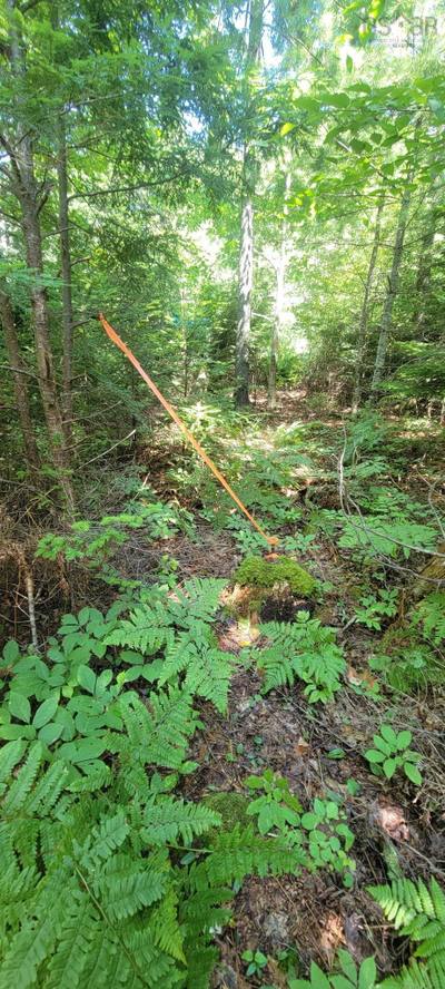 47 Bolivar Road #Lot — photo 4