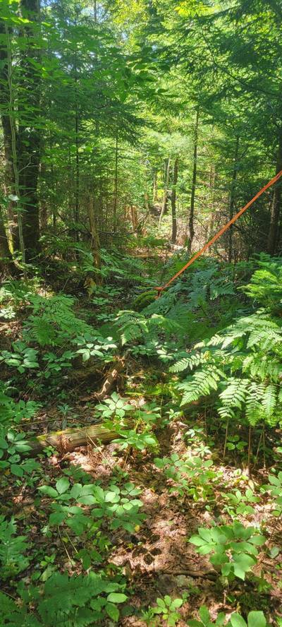47 Bolivar Road #Lot — photo 5