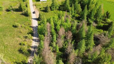 Appalosa Trail #Lot 55 — photo 2