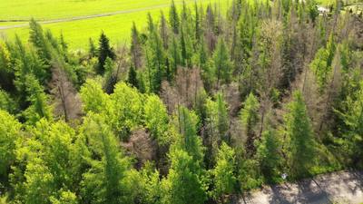 Appalosa Trail #Lot 55 — photo 3