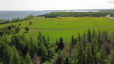 Appalosa Trail #Lot 55 — photo 4
