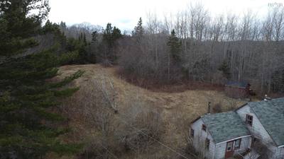 52 Adelia Road — photo 6