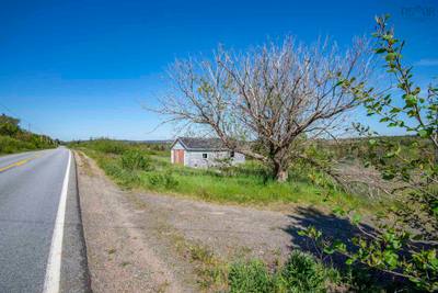 2856 Highway 217 — photo 4