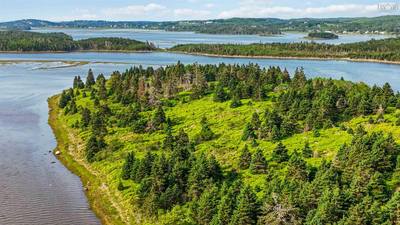 Maclellon Island — photo 4
