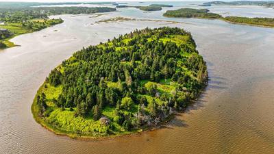 Maclellon Island — photo 6