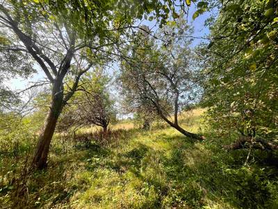 1520 Back Road — photo 5