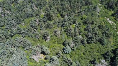 Main Shore Road #Lot 4 — photo 5