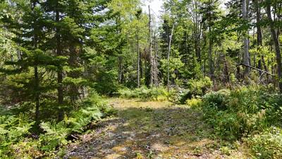 West Bay Highway #Lot 3 — photo 4