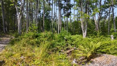 West Bay Highway #Lot 3 — photo 5