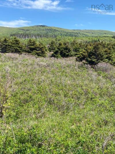 Cabot Trail — photo 3