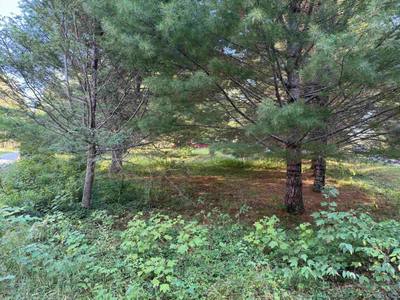 199 Kempt Back Lake Road — photo 7