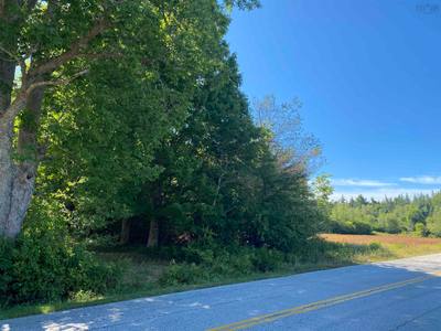3666 Highway 203 — photo 4