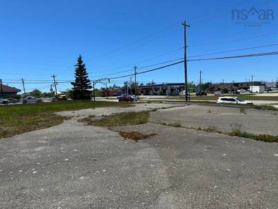 70 Starrs Road — photo 5