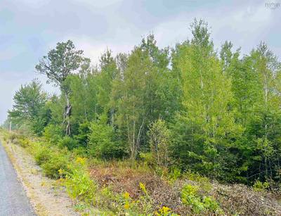 Alpena Road #Lot — photo 2