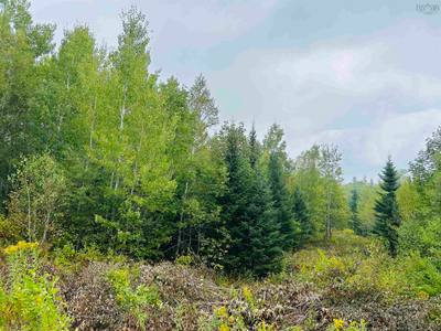 Alpena Road #Lot — photo 3