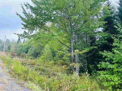 Alpena Road #Lot — photo 4