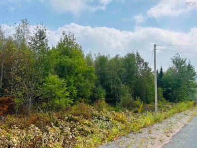 Alpena Road #Lot — photo 6