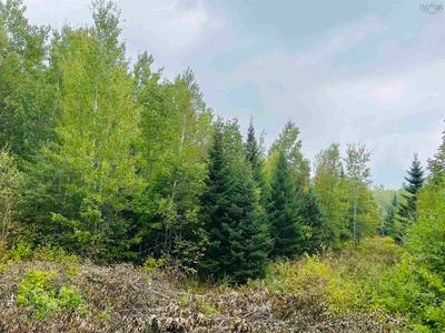 Alpena Road #Lot — photo 7