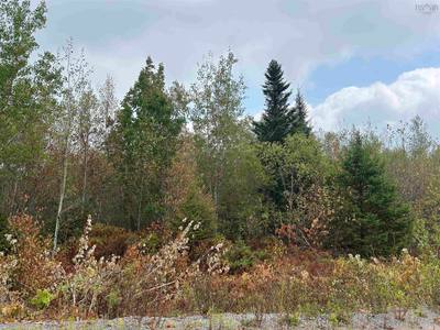 Alpena Road #Lot — photo 8
