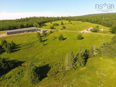 220 Campbell Road — photo 7
