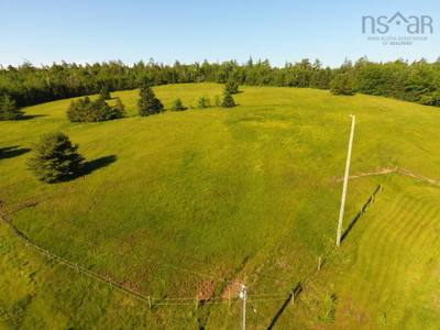 220 Campbell Road — photo 8