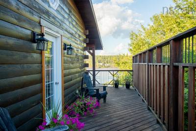 169 Cockscomb Lake Drive — photo 5