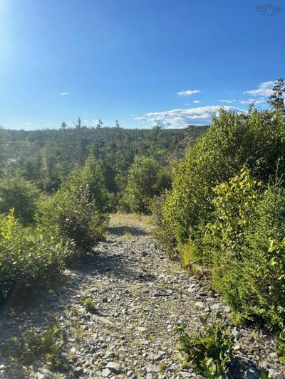 Highway 7 #Lot 2 — photo 4