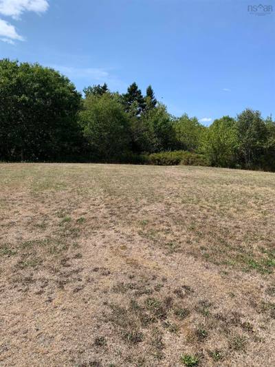 126 Belleville South Road — photo 4