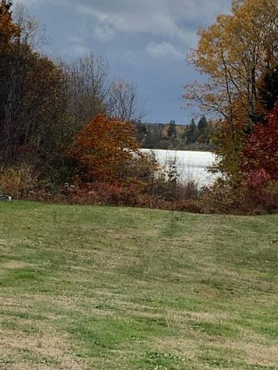 126 Belleville South Road — photo 7