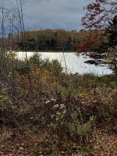 126 Belleville South Road — photo 8