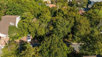 5 Dickson Avenue — photo 4