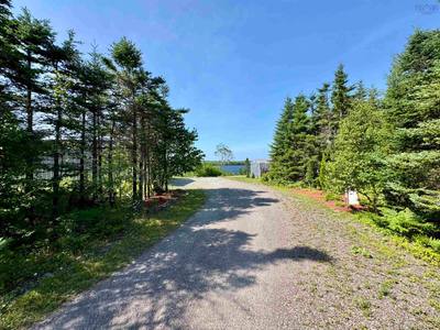 205 Brodies Rd. — photo 6