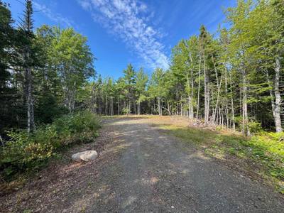 Marble Mountain Road — photo 3